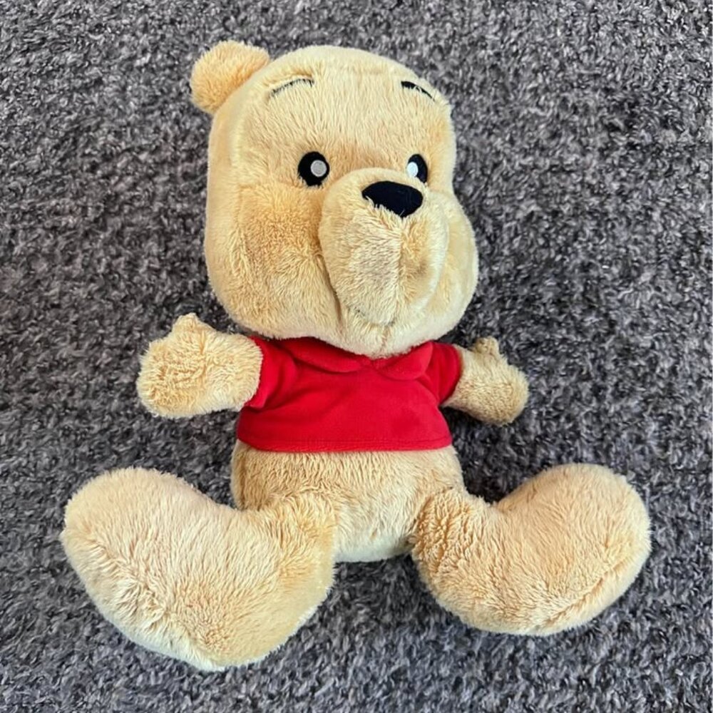 Disney Parks Stuffed Pooh Bear, Pooh Bear, Big Foot Pooh Bear, Disney Parks Pooh